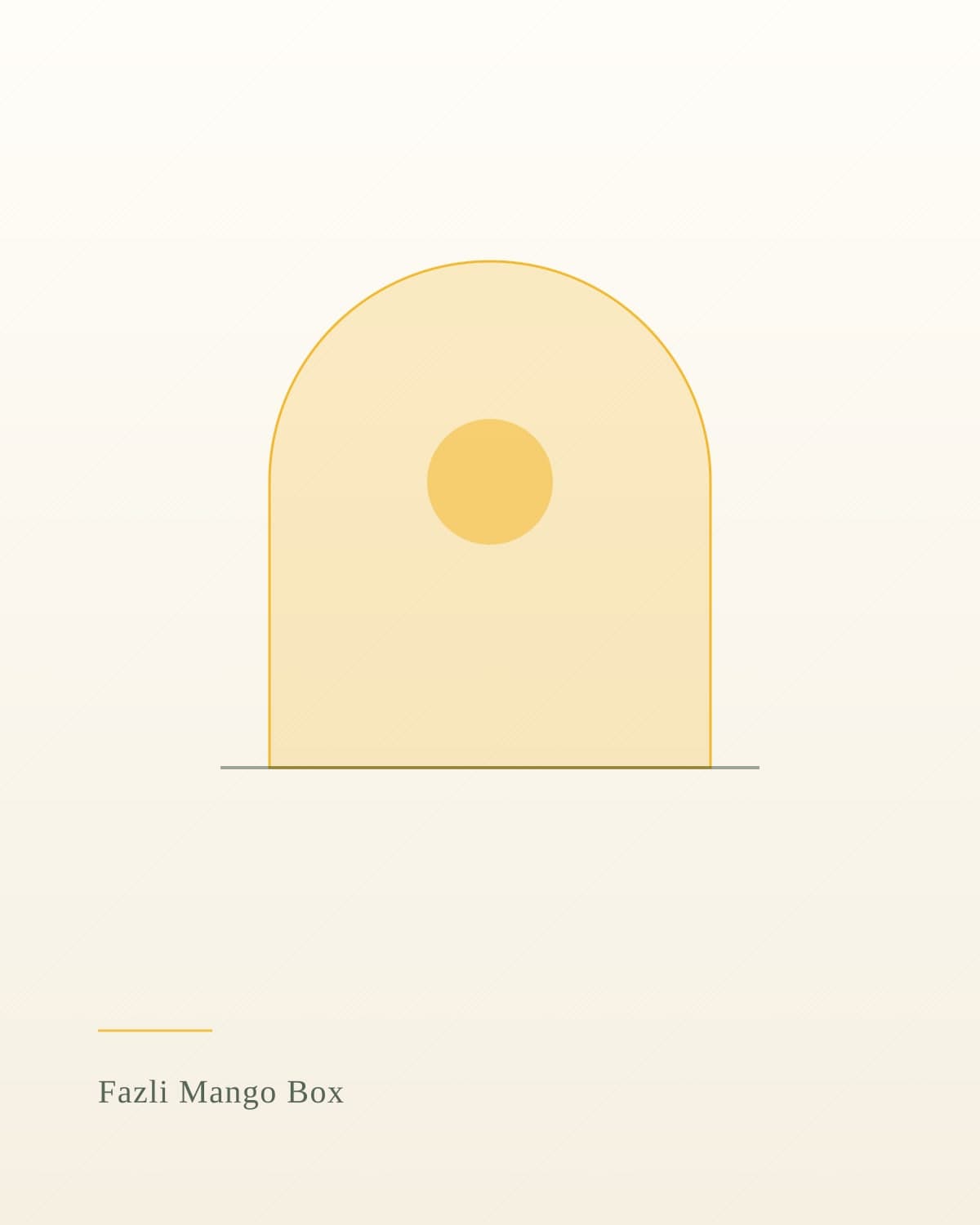 Fazli Mango Box
